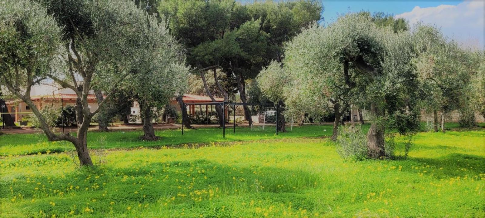 Costanza Сasa de vacaciones Bari